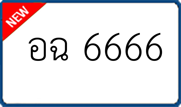 อฉ 6666